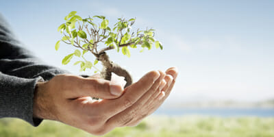 Advisers resilient but cautious on SMSFs