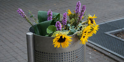 Flowers binned, FSC directors and IPA warning