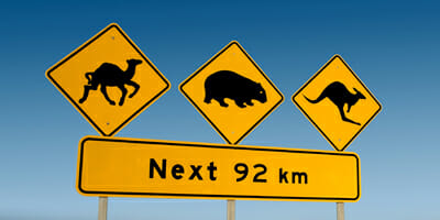 The perils of Australia-biased portfolios