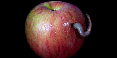Bell Potter “bad apple” gets jail term
