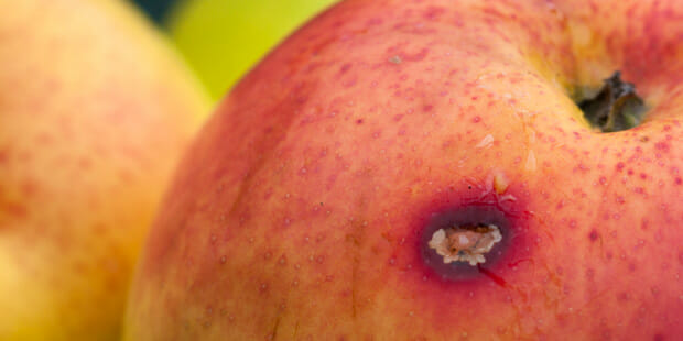 Work with licensees to weed out bad apples
