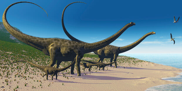 Corporate super specialists: the new dinosuars