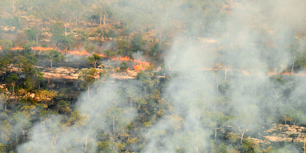 Fighting this fire is a test the profession can’t afford to fail