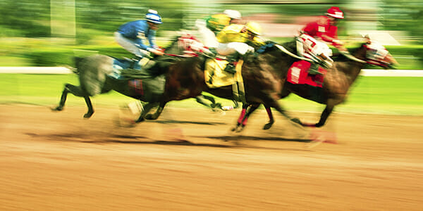 Horses for courses when it comes to matching products to clients’ needs