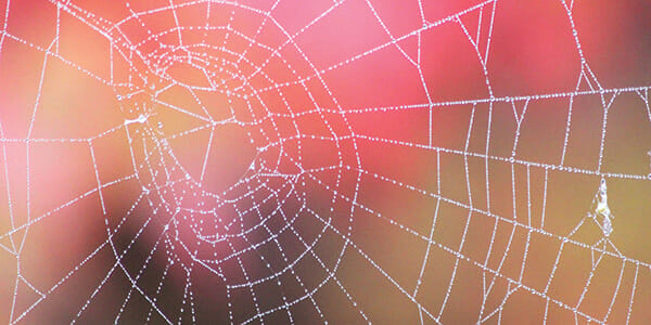 CPA Australia’s new financial planning venture exposes a tangled ethical web