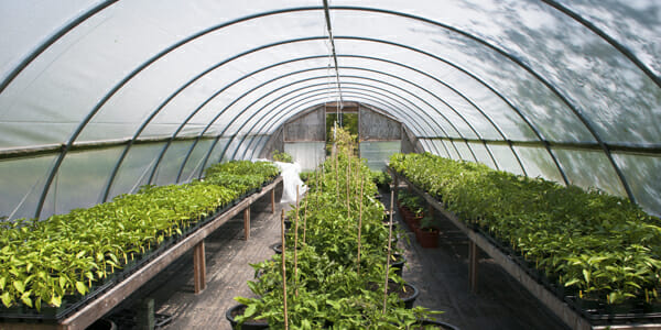 Cashflow service could become a nursery for Gen-Y financial planning clients