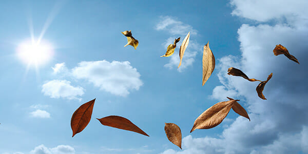 Winds of change drive the ‘unwritten challenges’ of moving to a profession