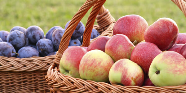 FinWiz practice moves into a plum new location above Apple
