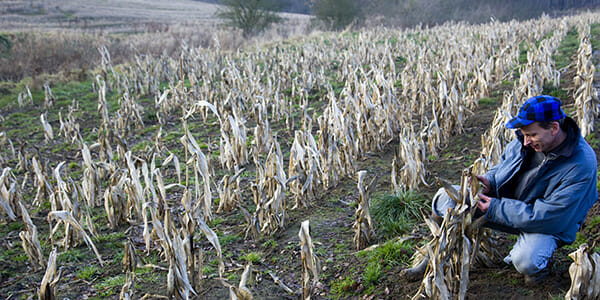 Boomers go boom! Be forewarned about chasing the wrong yield