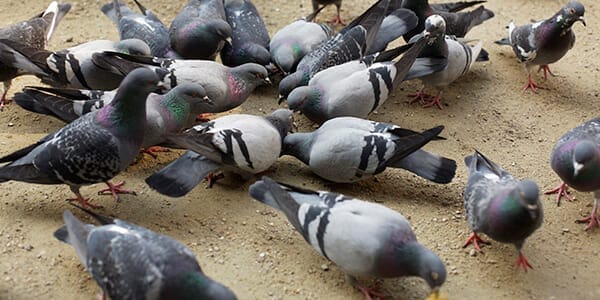 Would the real financial planning profession please stand up?