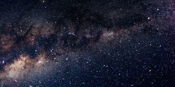 <span style="color: #3366ff;">In focus:</span> Humble mongrels scouring the universe for megastars of tomorrow