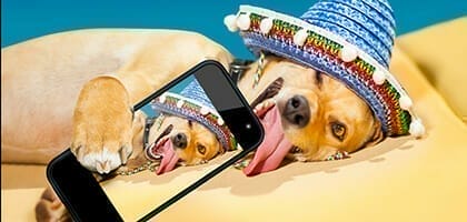 Drunk on digital? Time to sober up