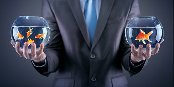 Who, how, what? The ABC of your marketing messaging