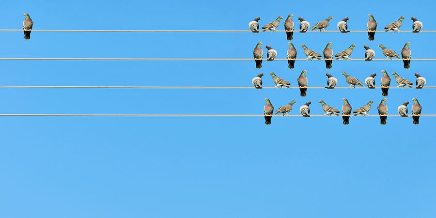 Go your own way: look outside financial planning for tips on marketing