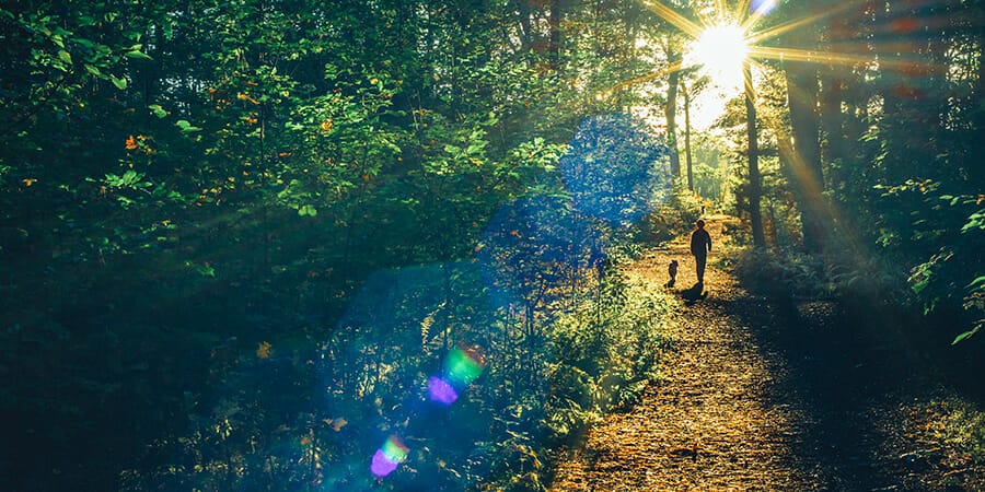 No shortcuts to good content but there is a path to follow