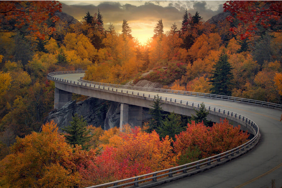 Make sure the online customer journey ends in the right place