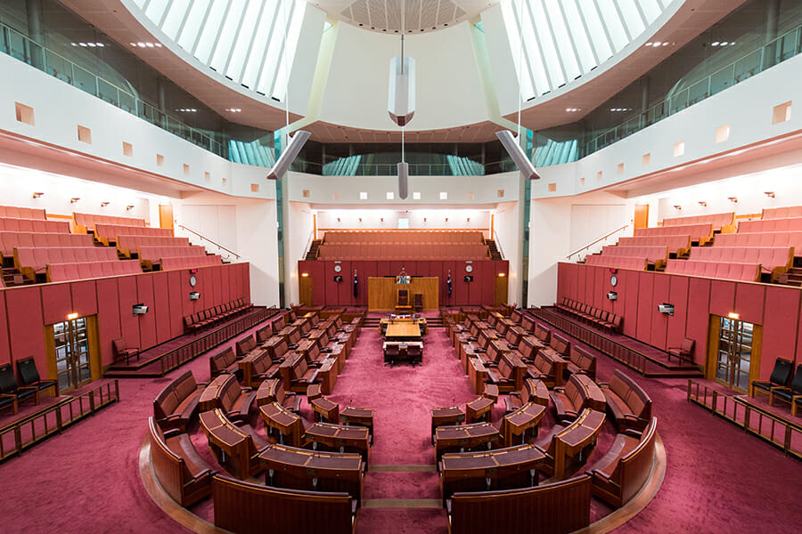 Industry veteran sets her sights on the Senate