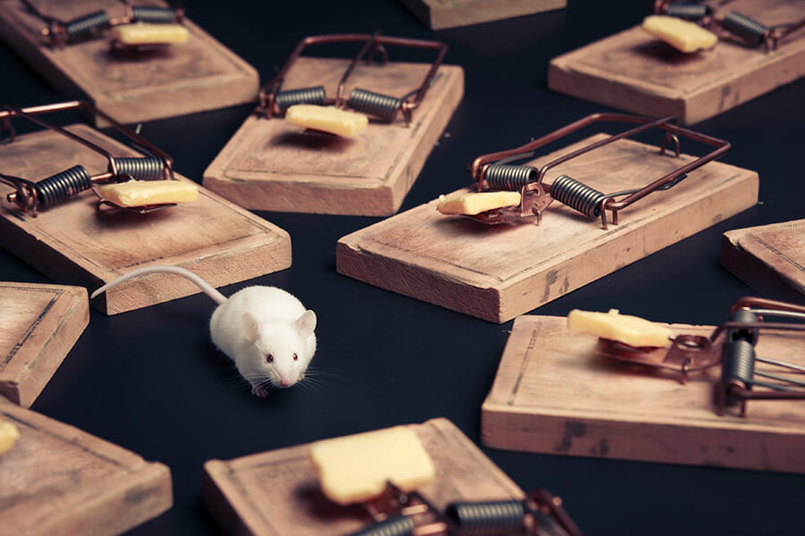 Learn to dodge those post-reform traps