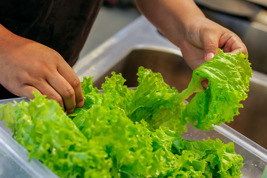 Punishment or wet lettuce?