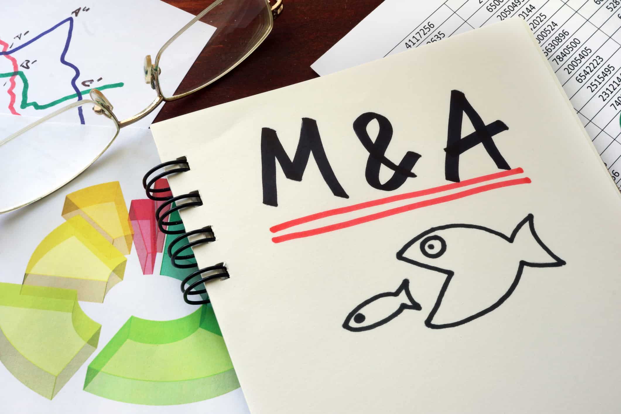 Private capital stepping in to fund advice acquisitions