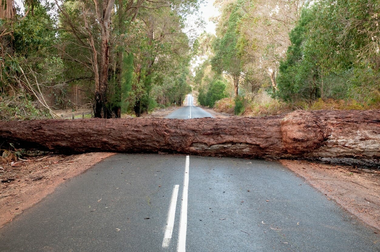 ASIC wants to know what’s holding up ‘bite-sized’ advice