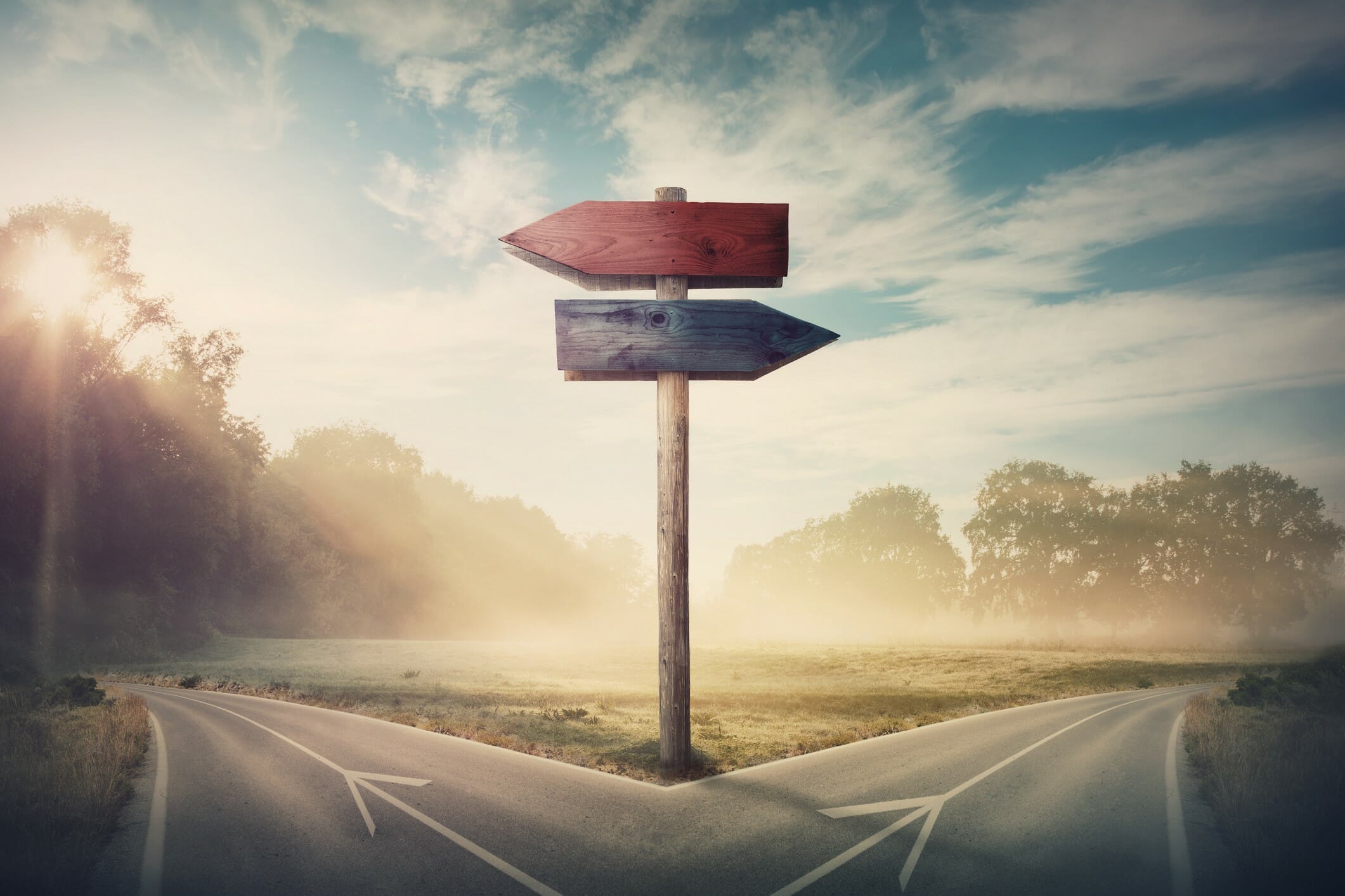 Transforming a shrinking industry into a growing profession