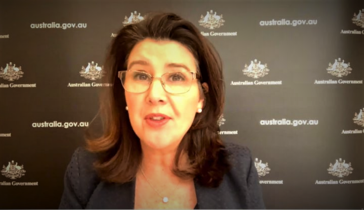 Bill to cut ‘competing’ advice oversight bodies: Hume