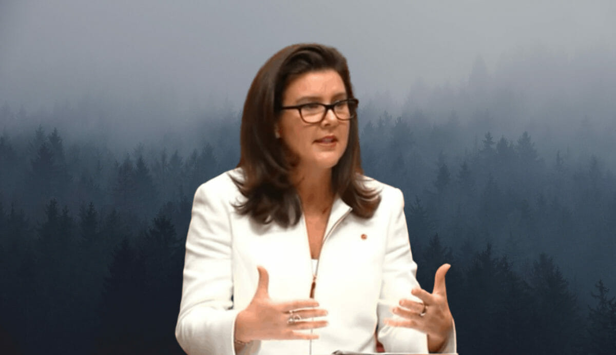 Coalition unlikely to make any reforms to vertical integration