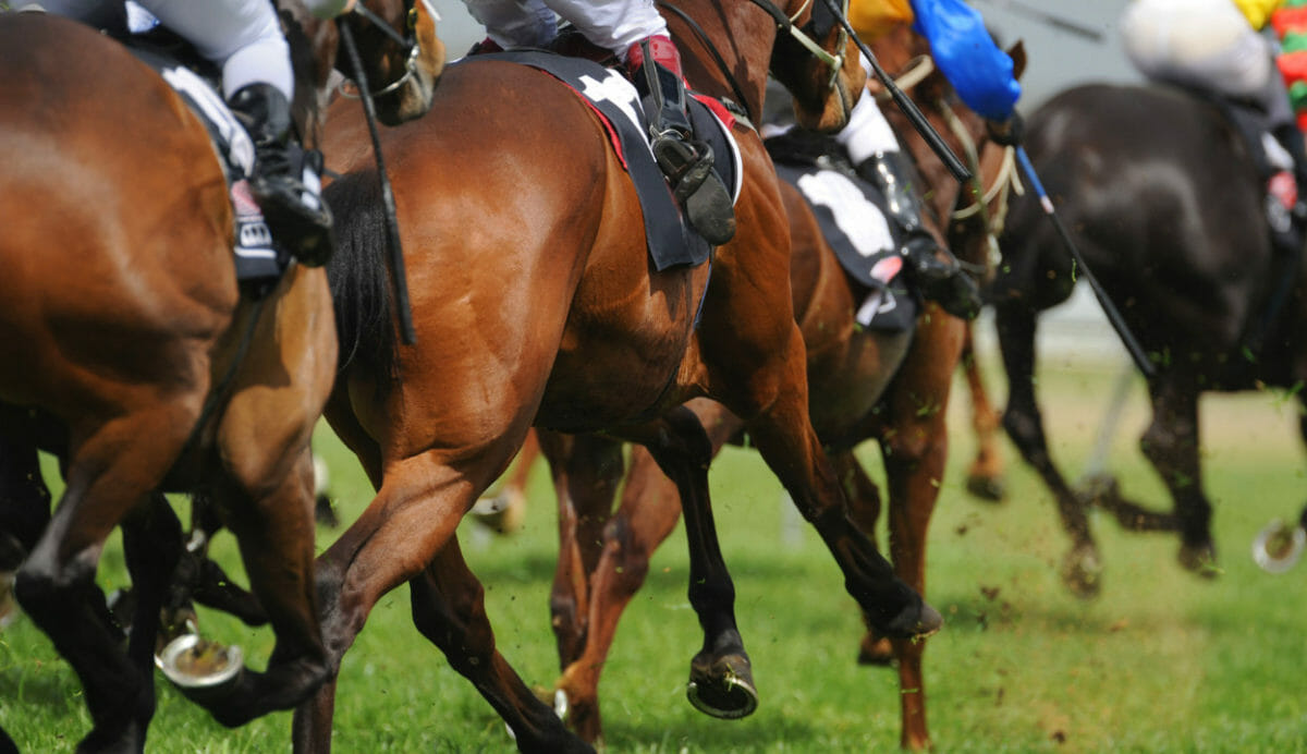 Backing the right advicetech horse a dilemma for advisers