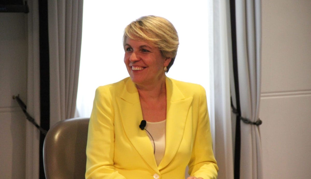 ‘Renewable energy superpower’ dream could become reality, says environment minister