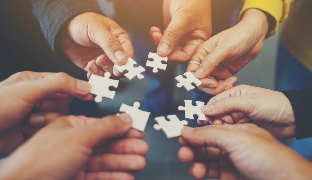 To solve the longevity puzzle, turn to the professionals