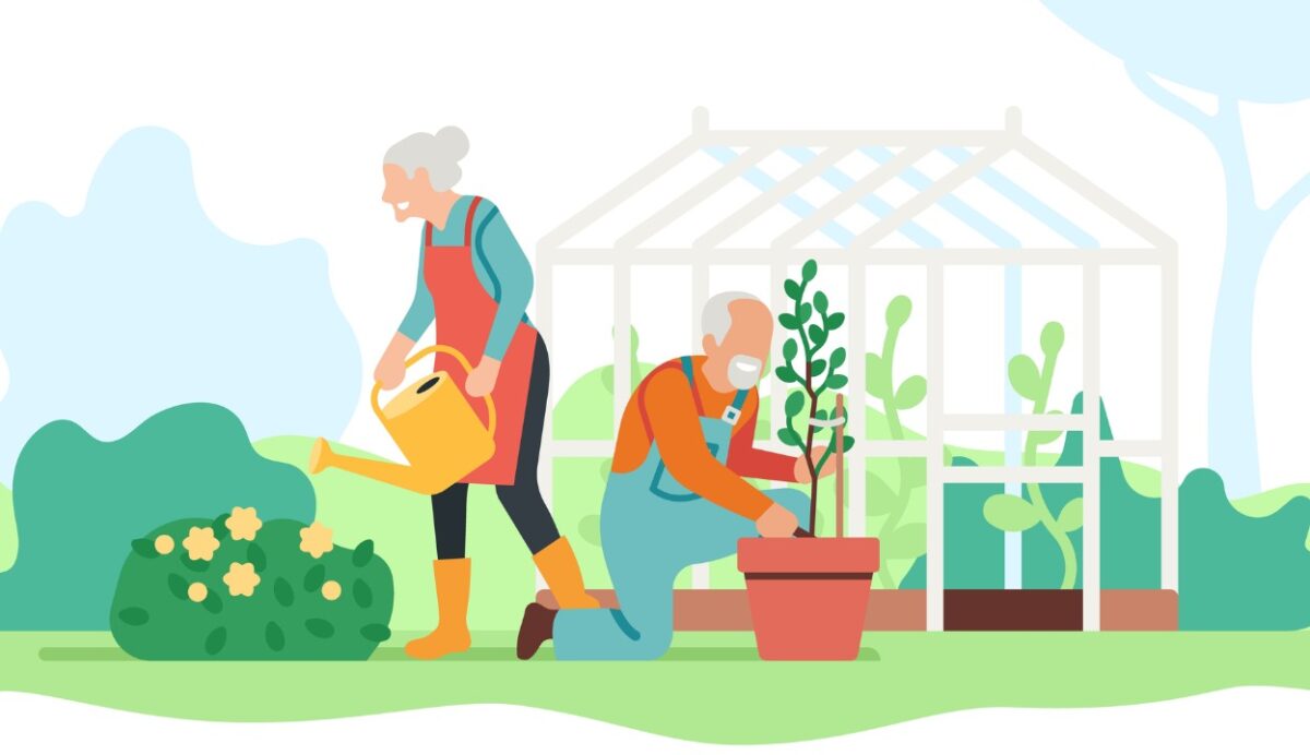 Understanding and managing longevity risk
