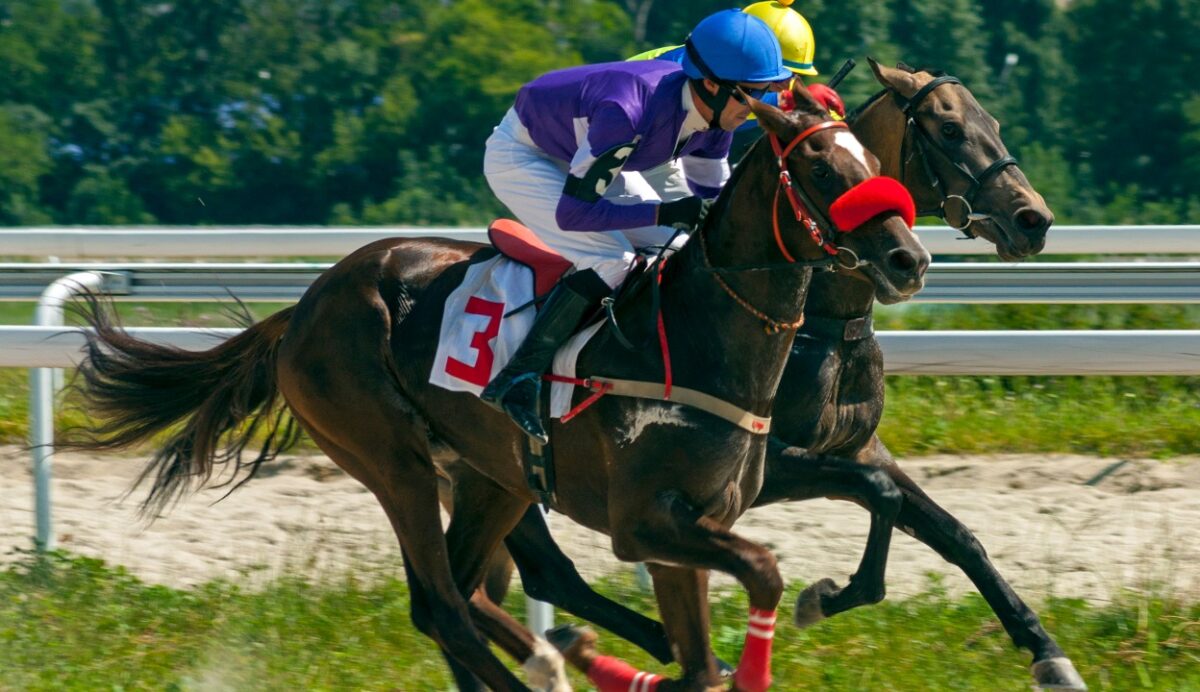 Insignia bidding war now a two-horse race