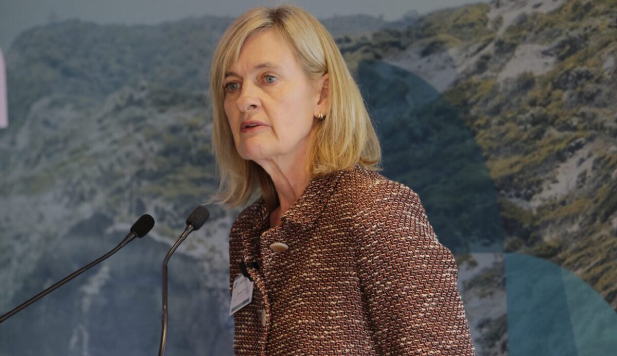 ASIC investigating role of platforms in high profile failures
