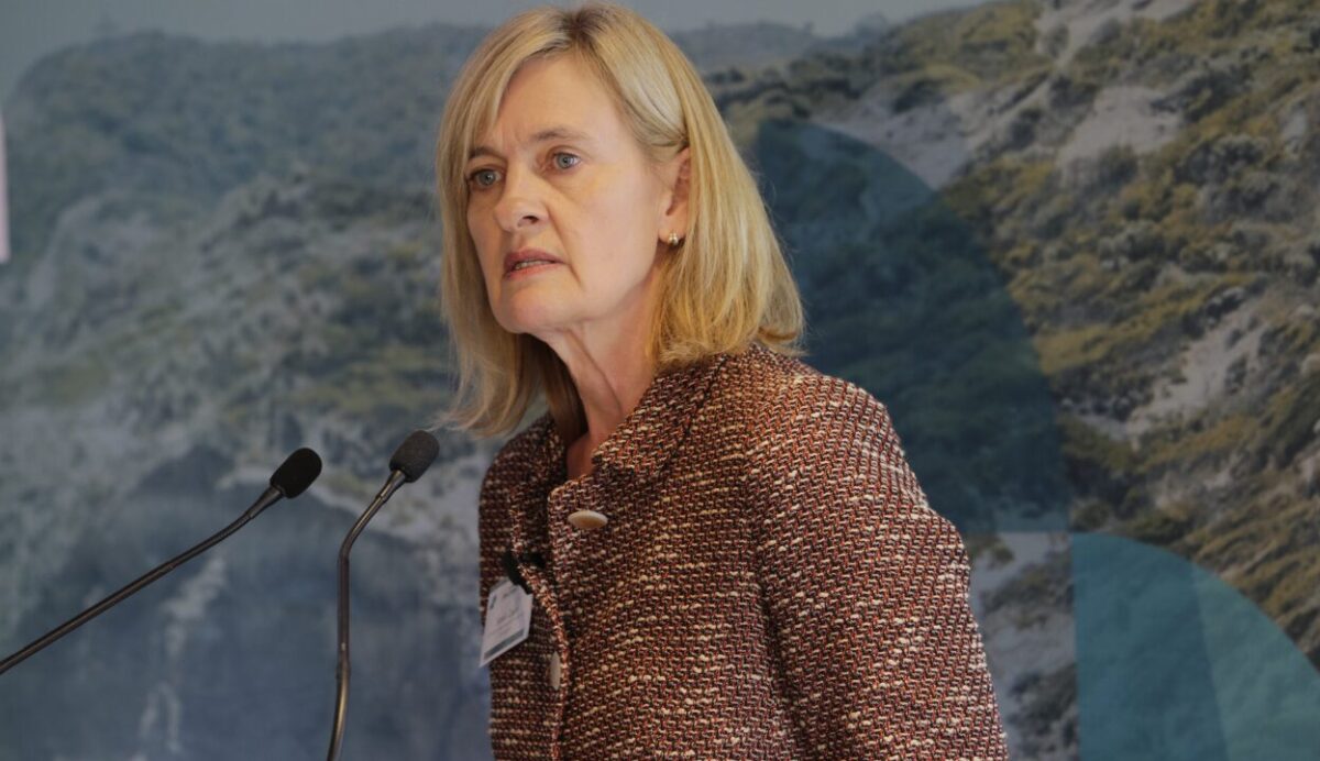 Auditor pinged for gatekeeping failure with United Global Capital