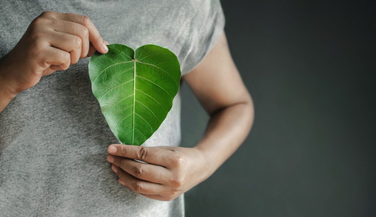 Putting values at the heart of advice
